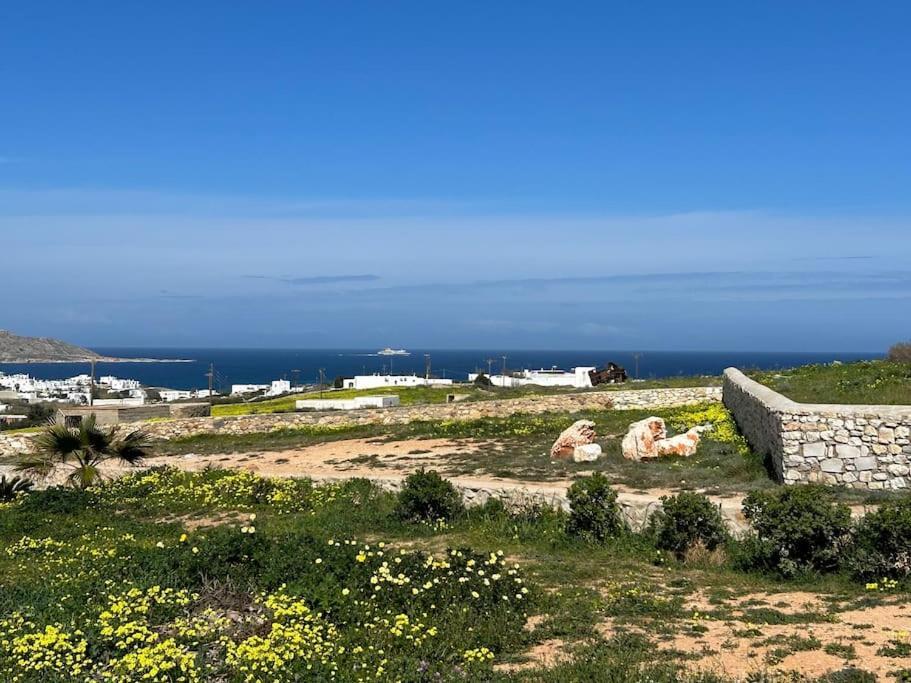 Aretousa Residence In Naoussa, Paros المظهر الخارجي الصورة