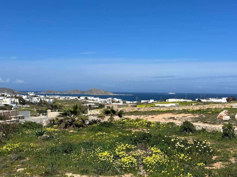 Aretousa Residence In Naoussa, Paros المظهر الخارجي الصورة