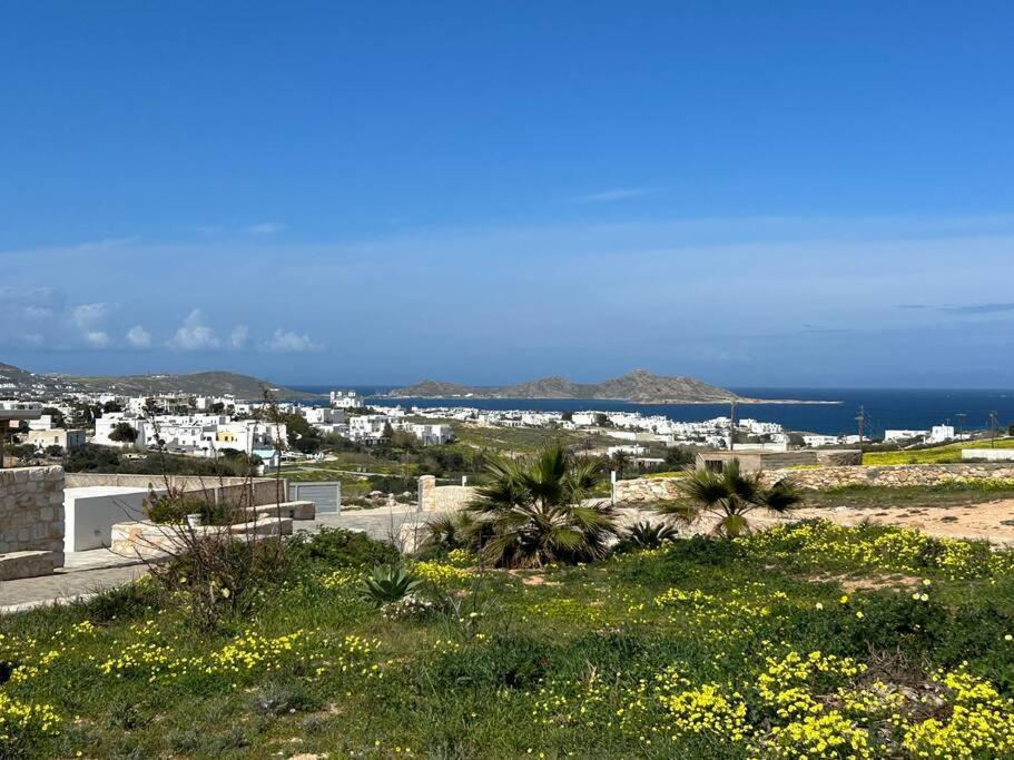 Aretousa Residence In Naoussa, Paros المظهر الخارجي الصورة